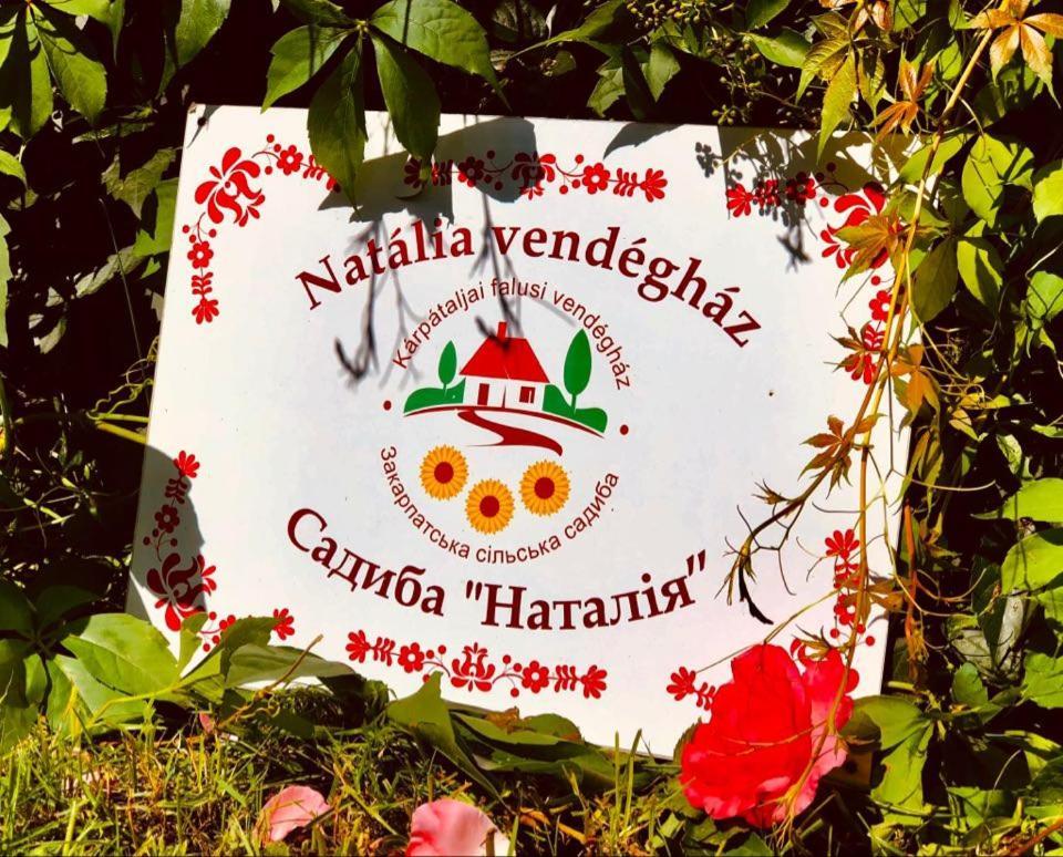 Natalia Vendeghaz Csetfalvat Exterior foto